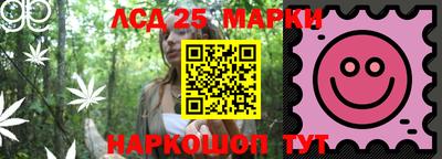 индика Будённовск