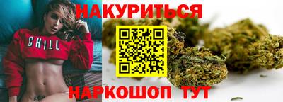 индика Будённовск