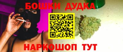 индика Будённовск