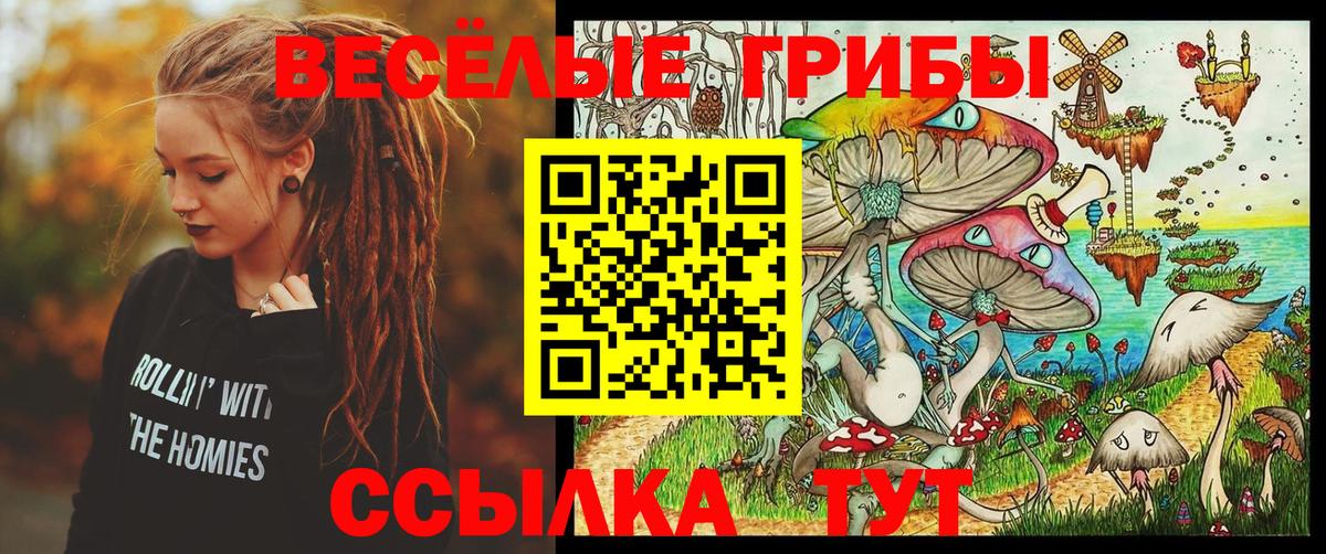 Галлюциногенные грибы Psilocybine cubensis Михайловск