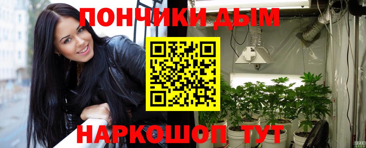 Бошки Шишки THC 21% Михайловск